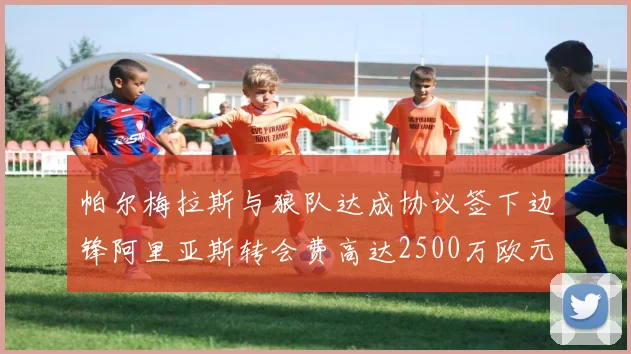 帕尔梅拉斯与狼队达成协议签下边锋阿里亚斯转会费高达2500万欧元