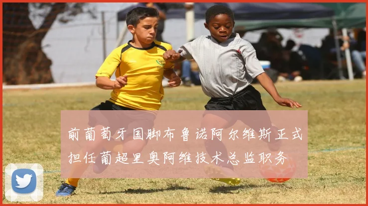 前葡萄牙国脚布鲁诺阿尔维斯正式担任葡超里奥阿维技术总监职务