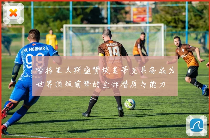 哈格里夫斯盛赞埃基蒂克具备成为世界顶级前锋的全部潜质与能力